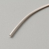 999 Fine Silver Wire STER-WH0008-14B-2