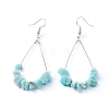 Dangle Earrings EJEW-E255-B08-1