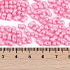 Baking Paint Glass Seed Beads X1-SEED-K010-A13-4