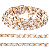 1Pc Imitation Leather & Alloy Chain Bag Strap PURS-CL0001-13A-7