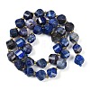 Natural Lapis Lazuli Beads Strands G-L579-08A-3