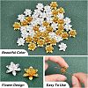 SUPERFINDINGS 48Pcs 2 Colors 3D Brass Bead Caps KK-FH0002-42-3