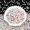Baking Paint Glass Seed Beads SEED-N007-02A-3