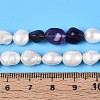 Natural Amethyst Nuggets & Natural Cultured Freshwater Pearl Beads Strands PEAR-N023-01A-07-5