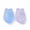Transparent Frosted Acrylic Beads OACR-P013-38M-2
