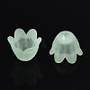 Transparent Acrylic Bead Caps FACR-N005-002C-4