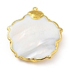 Natural Shell Pendants KK-G409-06G-3