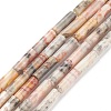 Natural Crazy Lace Agate Beads Strands G-F247-33-1