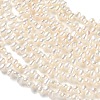 Natural Cultured Freshwater Pearl Beads Strands PA-CBABE82-02C-3