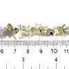 Natural Prehnite & Blue Lace Agate Beads Strands G-L610-A20-01-5