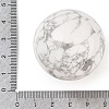 Natural Howlite Sphere Beads G-I367-07F-2