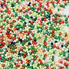 Baking Paint Glass Seed Beads SEED-S042-05B-51-3