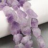Natural Amethyst Beads Strands G-O173-010B-01-1