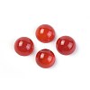 Natural Carnelian Cabochons G-F608-04C-05-1