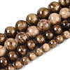 Natural Persian Jade Beads Strands G-A255-A02-02E-2