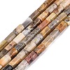 Natural Crazy Agate Beads Strands GG-N002-01A-04-2