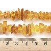 Natural Amber Beads Strands G-L095-D01-02-5