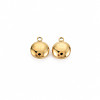 Ion Plating(IP) 304 Stainless Steel Charms LS-STAS-N097-149LG-1