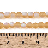 Frosted Transparent Glass Beads Strands GLAA-T032-T4mm-MBB08-4