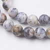 Natural White African Opal Beads Strands G-F563-03-8mm-3