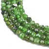 Natural Diopside Beads Strands G-R475-026A-2