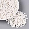 FGB Baking Paint Glass Seed Beads SEED-Q040-09A-01-1