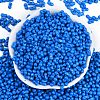 Baking Paint Glass Seed Beads SEED-K010-A15-3