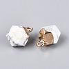 Natural Howlite Pendants G-N359-18G-14-2