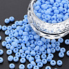 6/0 Glass Seed Beads SEED-T005-14-B20-4