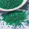 MIYUKI Delica Beads SEED-MY11-DB0858-1