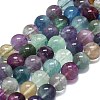 Natural Fluorite Beads Strands G-K245-A10-05-1