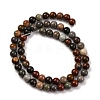 Natural Picture Jasper Beads Strands G-H037-A01-04-3