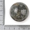 Natural Labradorite Sphere Beads G-I367-07D-2