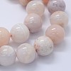 Natural Cherry Blossom Agate Beads Strands G-I206-01-14mm-3