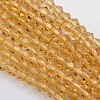 Bicone Glass Beads Strands EGLA-P016-4mm-08-1