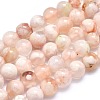 Natural Cherry Blossom Agate Beads Strands G-I213-23-6mm-1