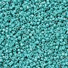 MIYUKI Delica Beads SEED-X0054-DB0166-2