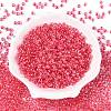 6/0 Transparent Inside Colours Glass Seed Round Beads X1-SEED-N006-004M-2