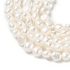 Natural Cultured Freshwater Pearl Beads Strands PEAR-C004-09A-4