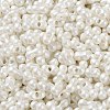 Glass Seed Beads SEED-L011-04A-21-3