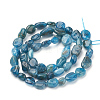 Natural Apatite Beads Strands X-G-T064-27-2