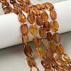 Natural Amber Beads Strands G-L095-C01-04-1