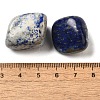 Natural Lapis Lazuli Beads G-O029-08V-3