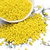 Glass Seed Beads SEED-A010-3mm-42-1