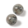 Natural Sesame Jasper No Hole Sphere Beads G-K353-04D-36-2