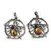 Natural Tiger Eye Pendants G-P547-05AS-10-1