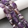 Natural Amethyst Beads Strands G-S386-A12-1