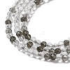 Transparent Glass Beads Strands GLAA-H027-01F-4