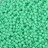 Opaque Acrylic Beads LS-SACR-A007-01B-23-3