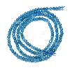 Natural Apatite Beads Strands G-G106-C06-01-2